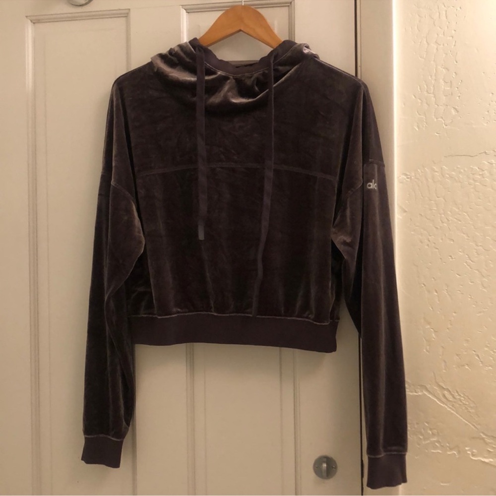 ALO Yoga • Velour Cropped Hoodie (Small)